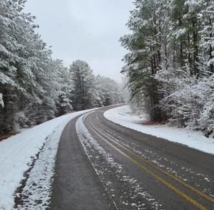 Meet your Posher, Ricky